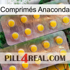Comprimés Anaconda new10